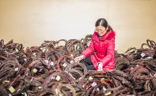 花 是這樣做出來的